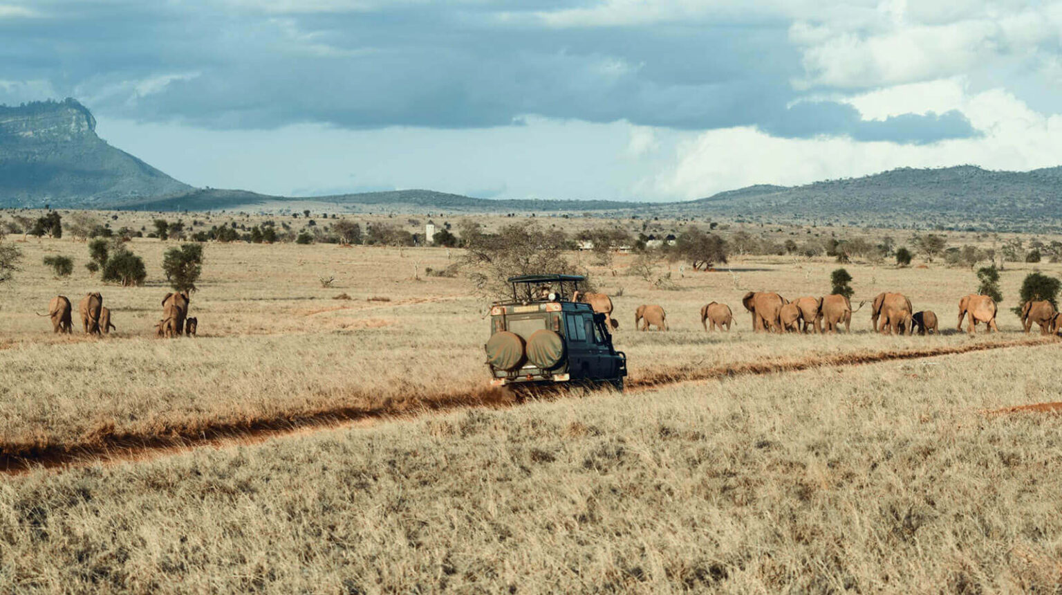 Africanfootprints Auto Safari mit Elefanten