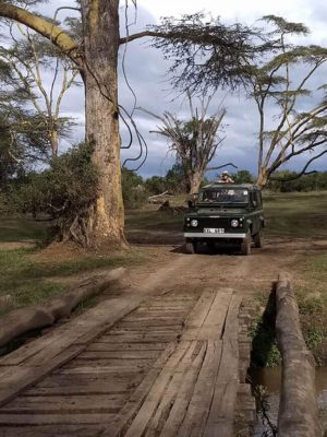 Auto Safari in Kenya