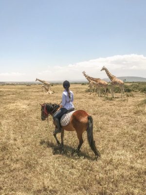 Eine Person auf einem Pferd während einer Safari auf der Sandai Farm, mit einer Gruppe von Giraffen in einer weiten, trockenen Landschaft unter einem klaren blauen Himmel.