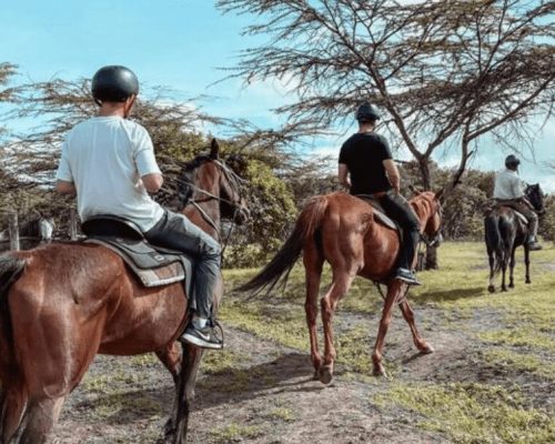 Reiten in Kenia