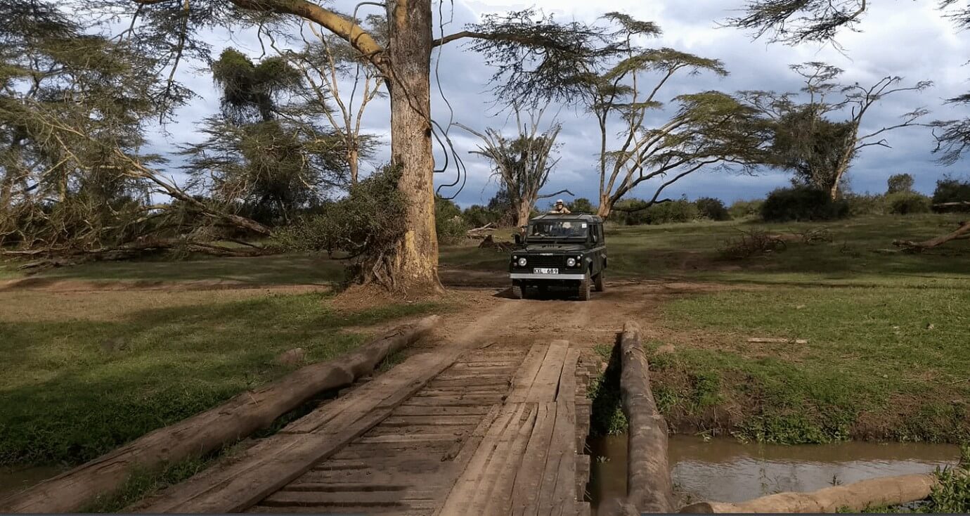 Ein Safari-Geländewagen, der eine Holzbrücke in einer grünen Landschaft mit hohen Akazienbäumen überquert, unter einem wolkigen Himmel.